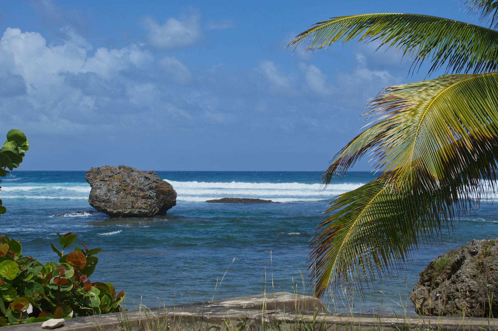 La côte sauvage de Saint-Barthélemy