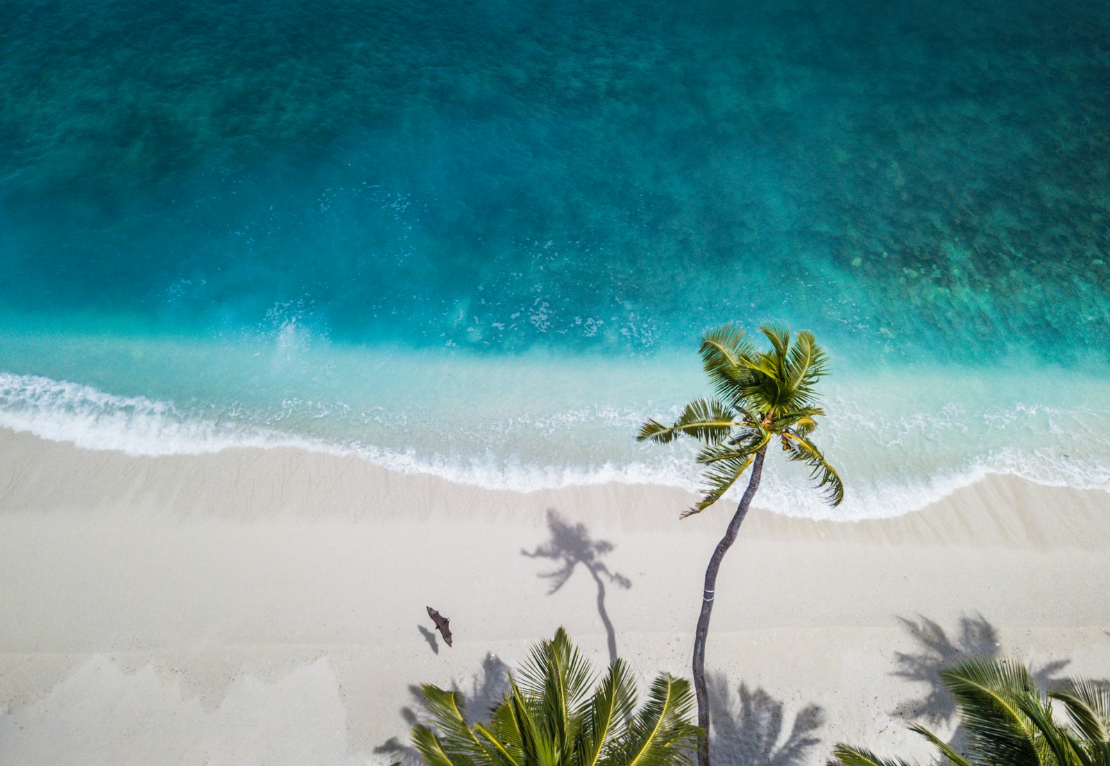 Plage turquoise vue du ciel